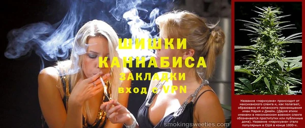 дурь Инта